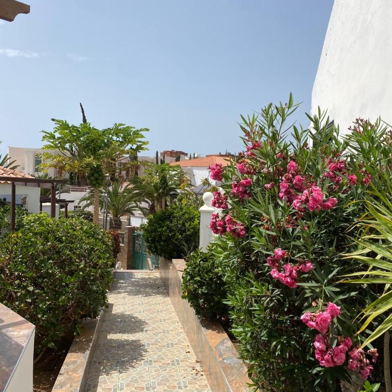 Deluxe bungalow Perla Del Sur - Bungalow Deluxe - 21