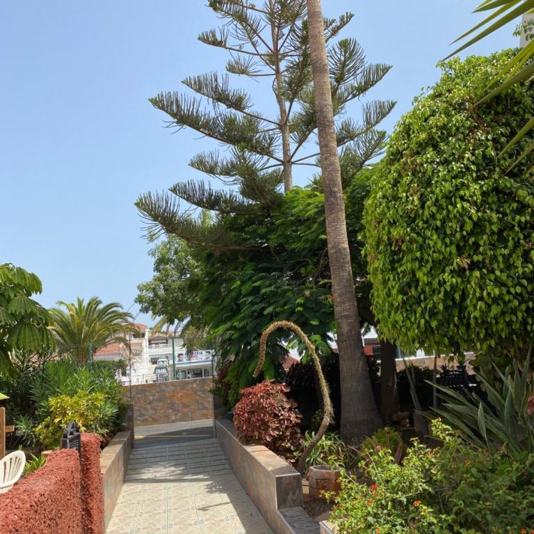 Deluxe bungalow Perla Del Sur - Bungalow Deluxe - 23