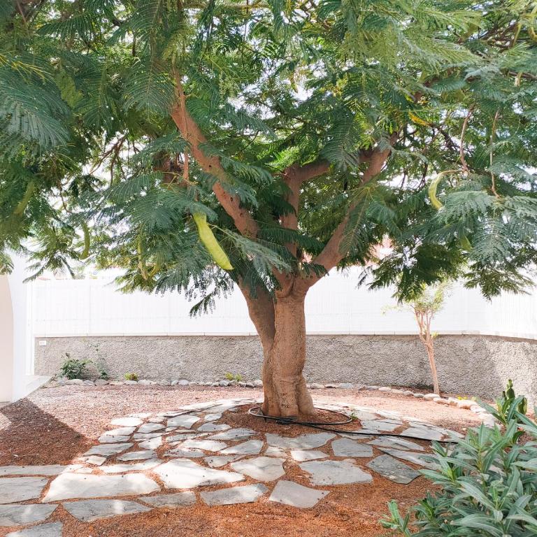Pretty Terrace Holiday House in Maspalomas - Casa - 17