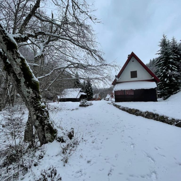Cottage in the wild Pješčanica - Kuća sa 2 Spavaće Sobe - 51