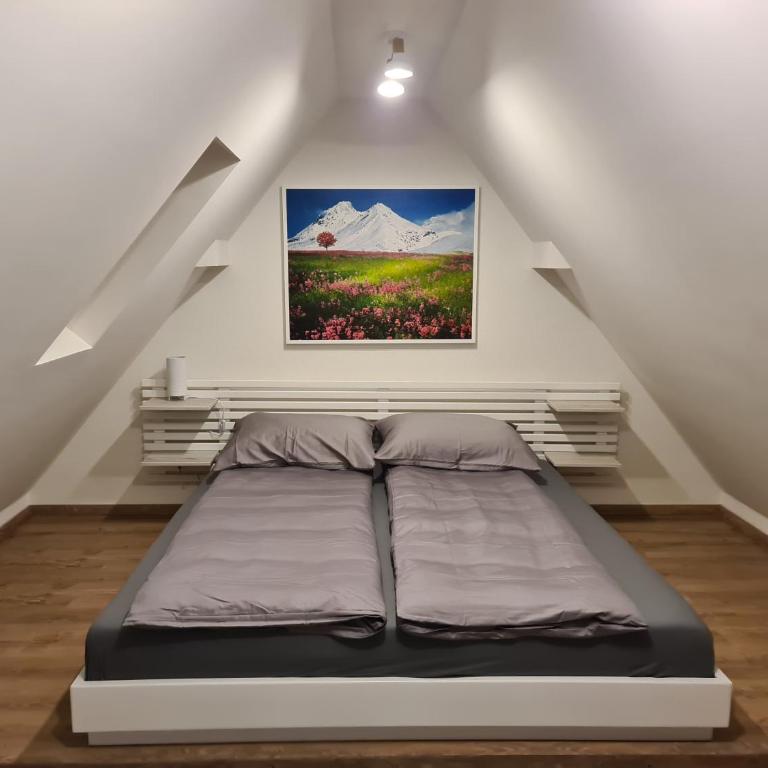 Gabi Apartments Kopaonik - Kraljevi cardaci - Apartment - Split Level - 1