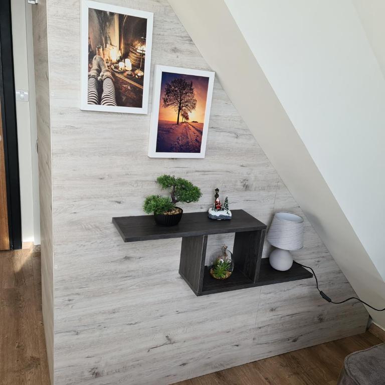 Gabi Apartments Kopaonik - Kraljevi cardaci - One-Bedroom Apartment - 7