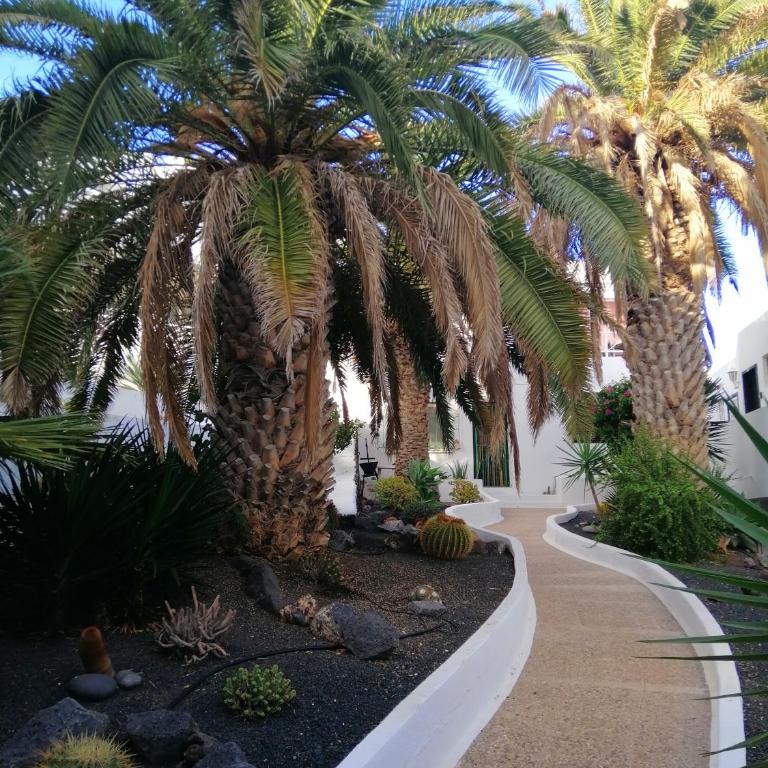 Apartamento Te Miti - One-Bedroom Apartment - 27