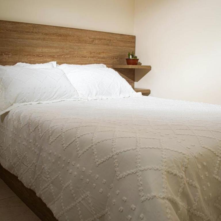 Casa Venedicta - Apartamento de 1 dormitorio - 22