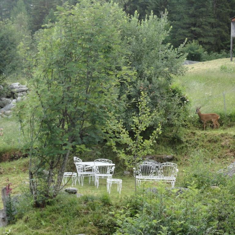 Chalet Sven & Marc Grächen, Niedergrächen Vallis - Haus mit 4 Schlafzimmern - 56