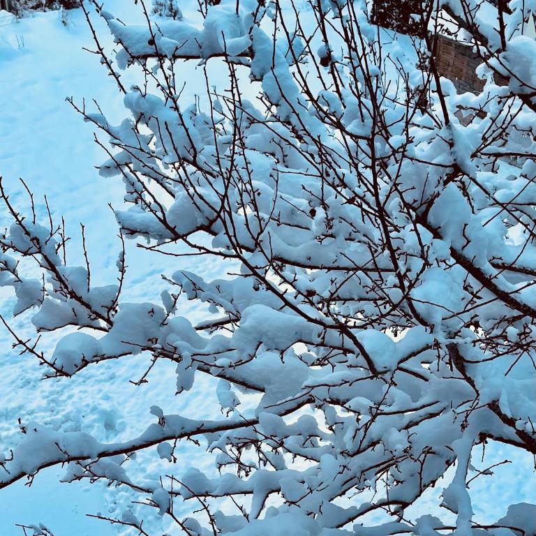 AUSZEIT Appartement - Apartment mit 2 Schlafzimmern - 3