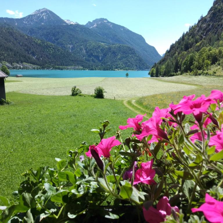 Ferienwohnung Hinterwinkl - Appartamento con 2 Camere da Letto - 26