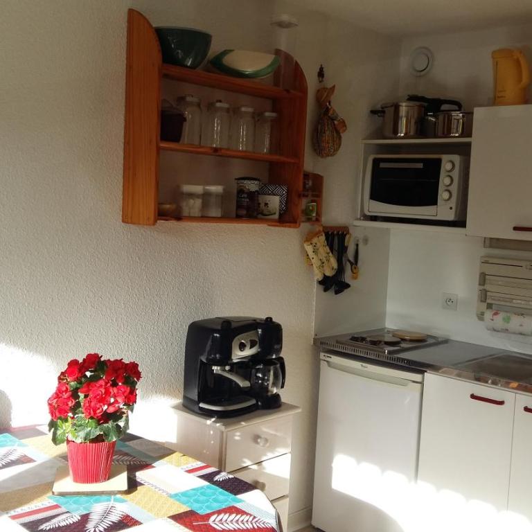 Le Chartreux de Saint Pierre de Chartreuse - Appartement 1 Chambre - 4