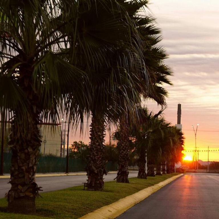 Suites Aeropuerto Monterrey Hab #3 - Apartamento de 1 dormitorio - 20