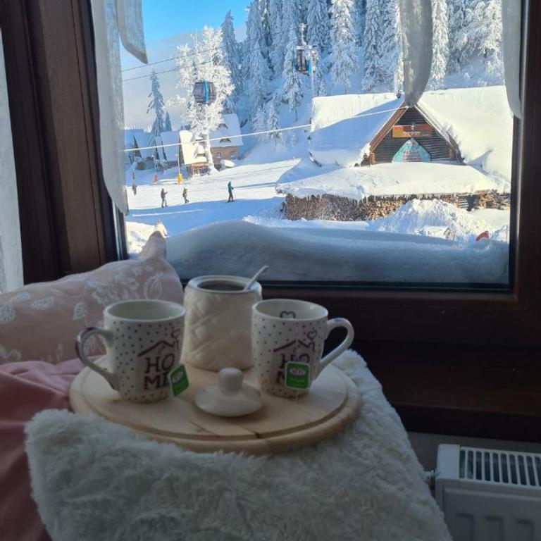 Nivalis Residence A11 - One-Bedroom Apartment - 24