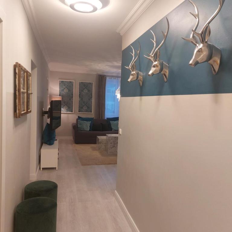 Grenzberg Appartements - Superior Apartment - 4