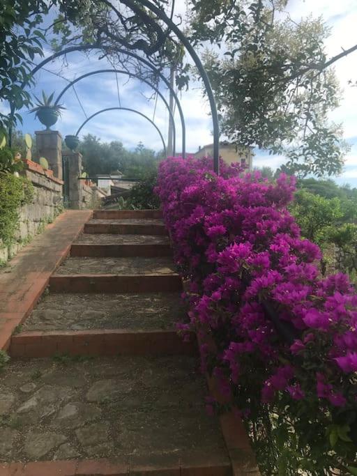 Villa San Francesco - Villa - 29