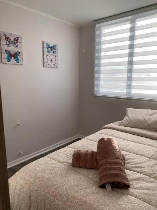Departamento céntrico en Puerto Varas - Apartamento de 2 dormitorios - 12