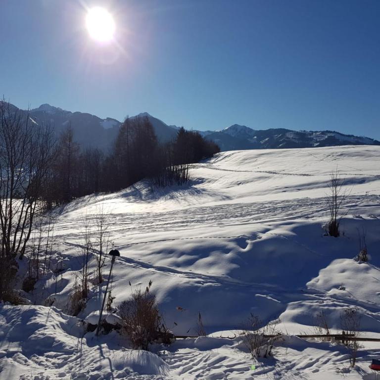 CASA 4 PIOPPI - Agenzia Dolomiti Affitti - Appartamento con 2 Camere da Letto - 44