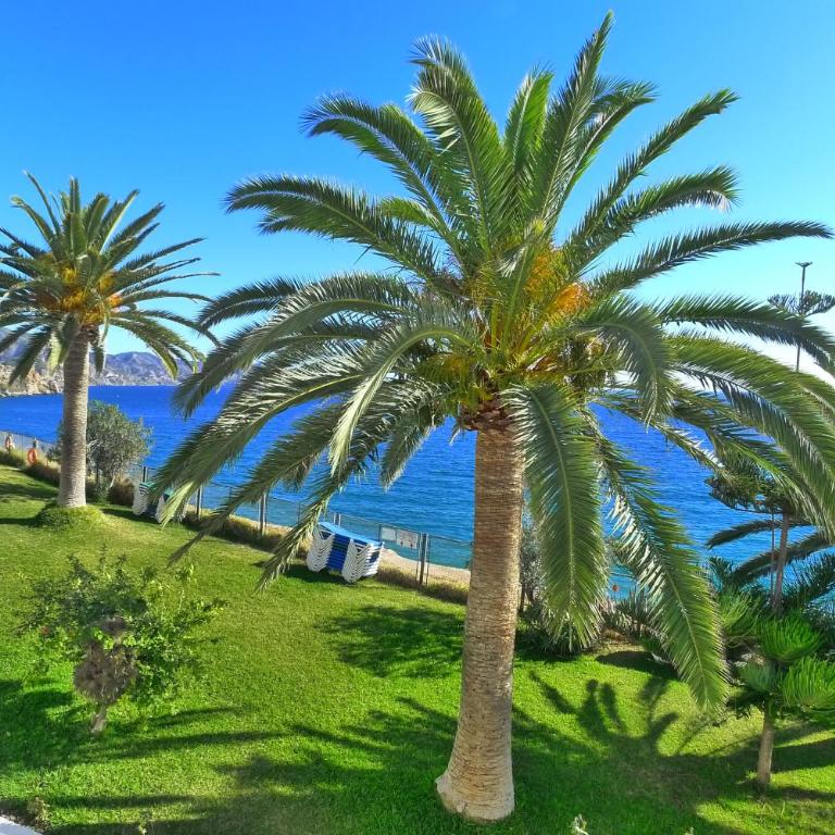 R1353 Tuhillo 8, 1D - Apartamento con vistas al mar - 26
