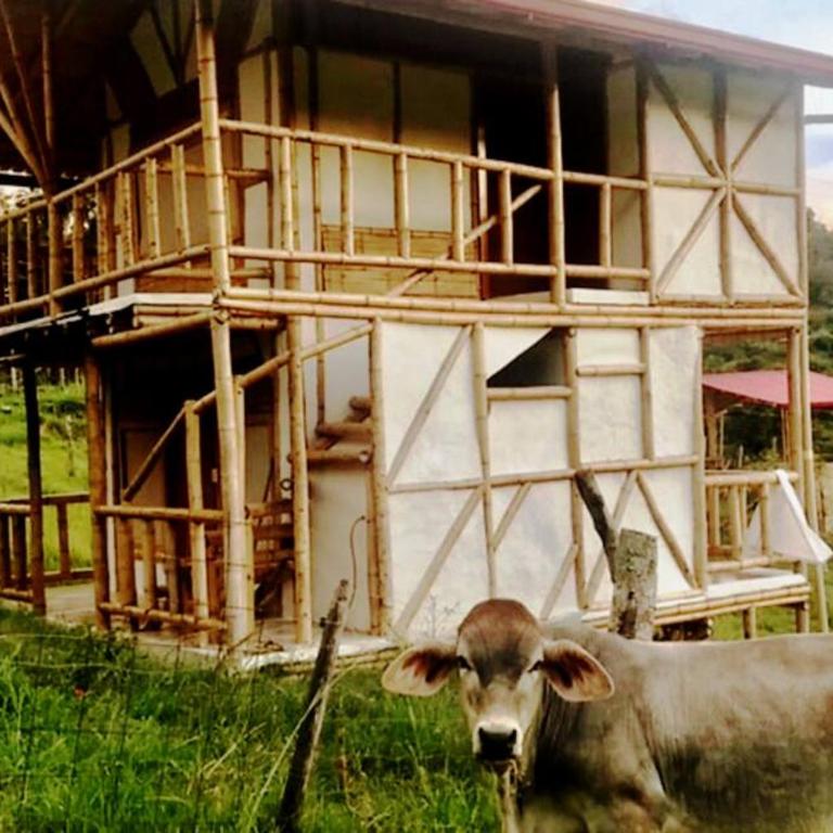 Cabaña independiente en Granja Agroecologica - Casa con 1 dormitorio - 16