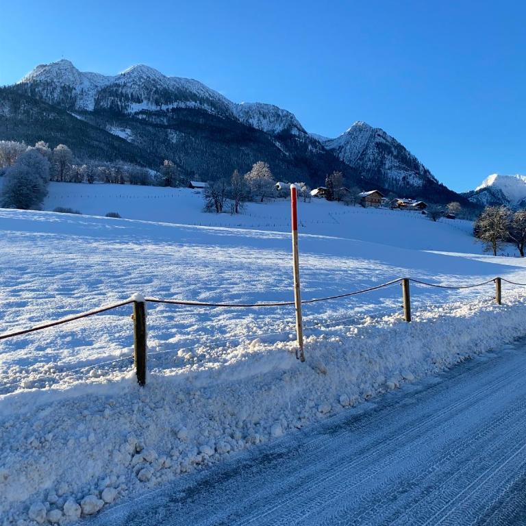 Auszeit Salzkammergut Appartements - Apartment mit 1 Schlafzimmer - 9