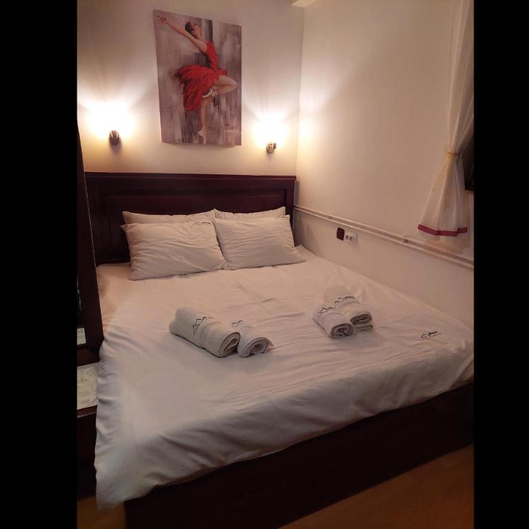 Apartman Vrhovi Kopaonik Vila Nikola Centar - Studio with Mountain View - 9