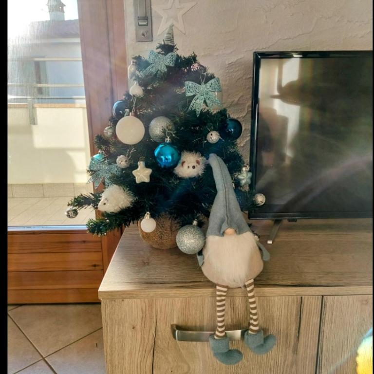 BLUE APARTMENT - a due passi dal lago, parcheggio privato - Appartamento con 1 Camera da Letto - 37