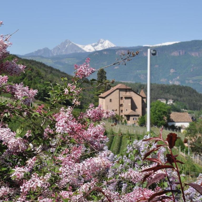 Schloss-Hof - Appartamento con Vista Montagna - 12