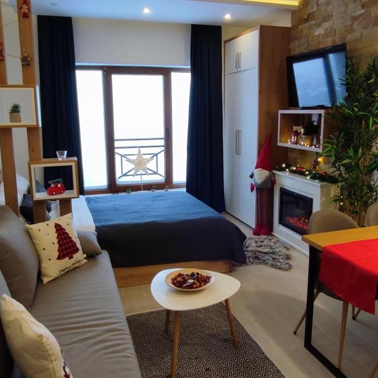 SANS Lux Apartman N42 Milmari Kopaonik - Studio Apartment - 4