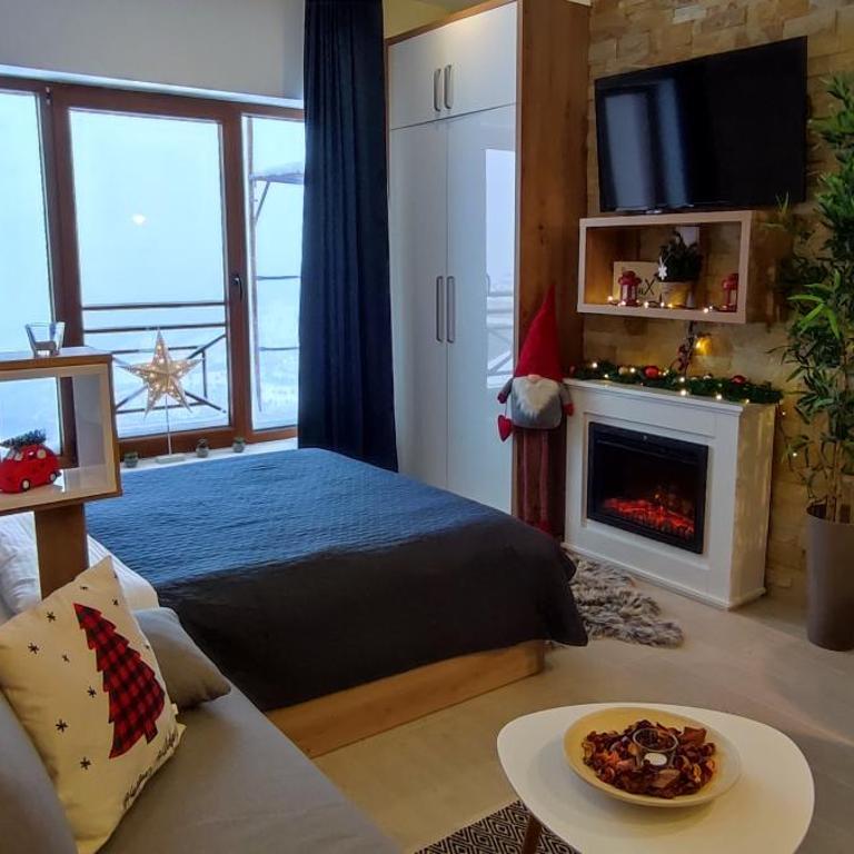 SANS Lux Apartman N42 Milmari Kopaonik - Studio Apartment - 49