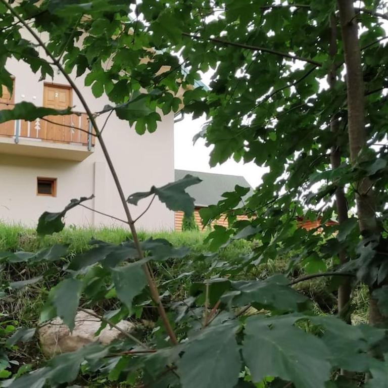 Apartmani Vuk - Apartman sa Pogledom na Planinu - 52