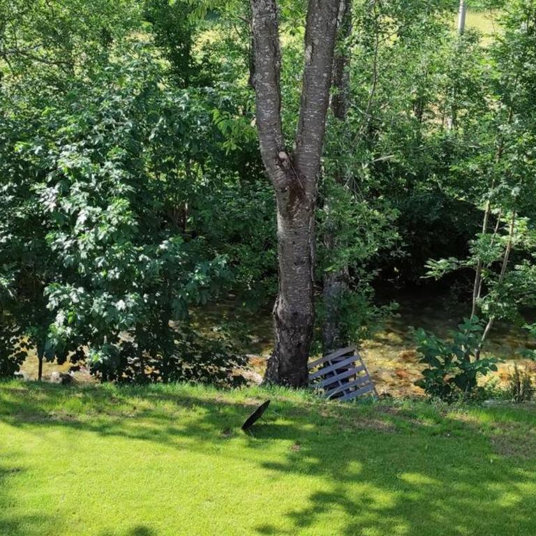 Apartmani Vuk - Apartman sa Pogledom na Planinu - 57