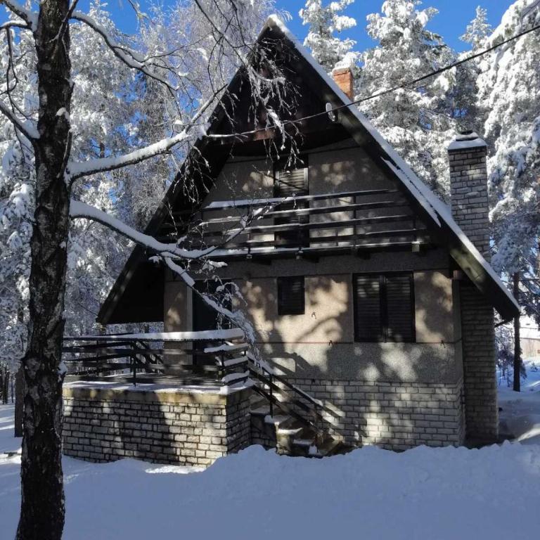 PLANINSKA VILA SMIGIC - Kuća sa 2 Spavaće Sobe - 19