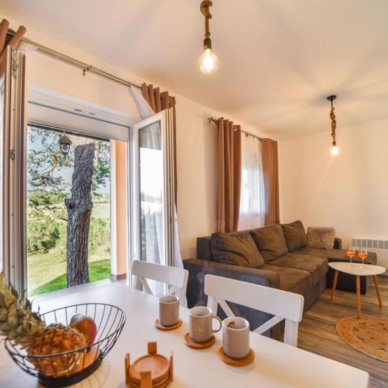 Vila Čarna Zlatibor - Kuća sa 1 Spavaćom Sobom - 9
