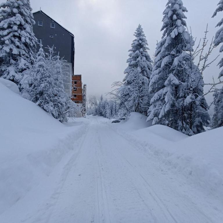 NEST Apartment - NEST 1 - 47