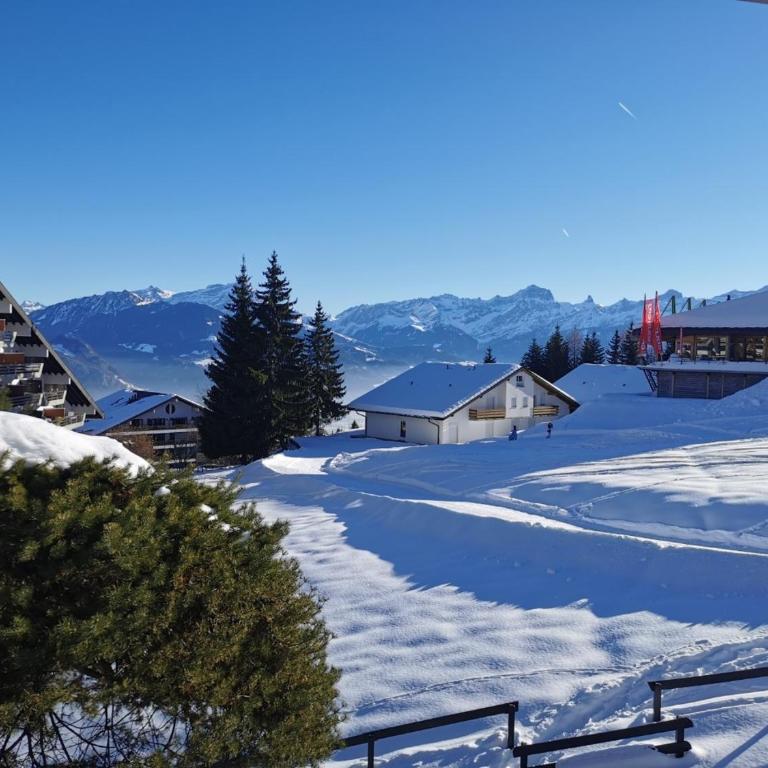 Appartement Torgon - Apartment mit 1 Schlafzimmer - 23
