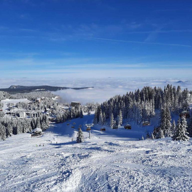 Jahorina Apartman, Jahorinska Vila - One-Bedroom Apartment - 6