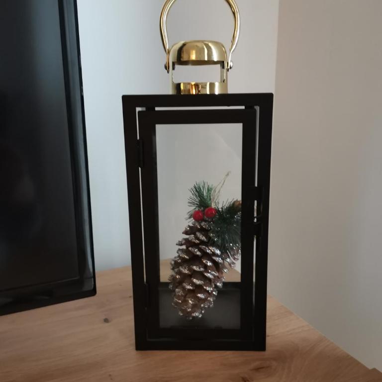 Apartman Kardaš - Apartman sa 1 Spavaćom Sobom - 20