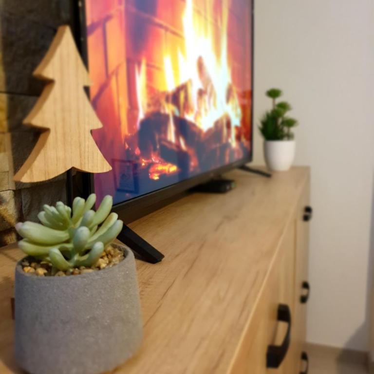 Milmari Lux Apartment S&M Kopaonik - Apartman sa 1 Spavaćom Sobom - 5