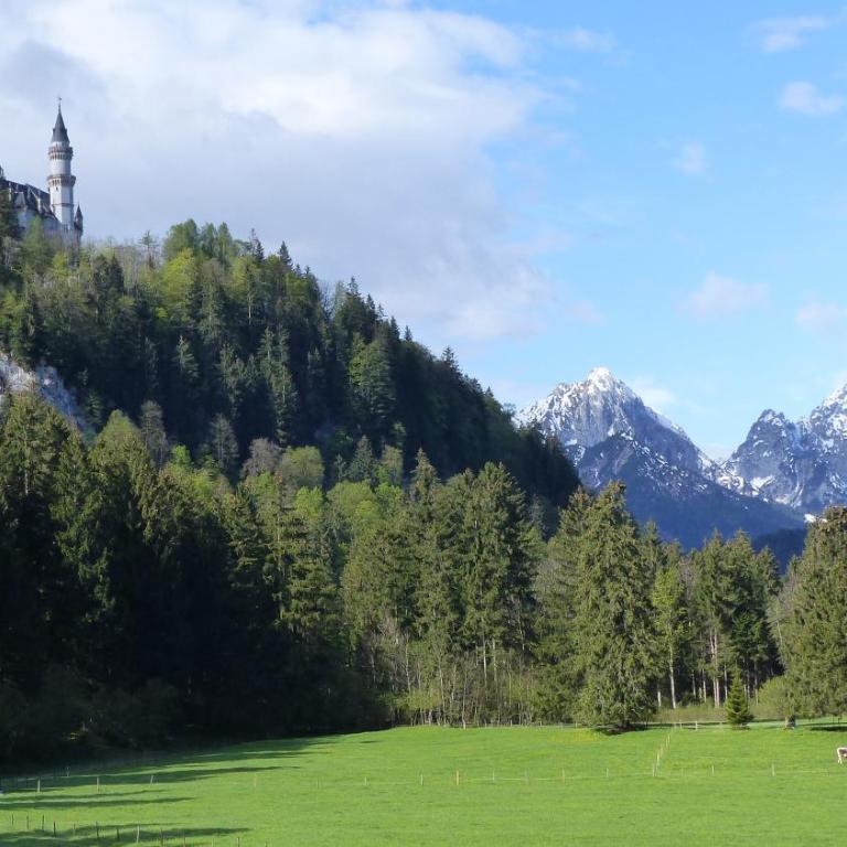 Ferienwohnung Allgäuer Landhaus Stocker in Hopferau-Füssen - Apartment mit 2 Schlafzimmern - 52