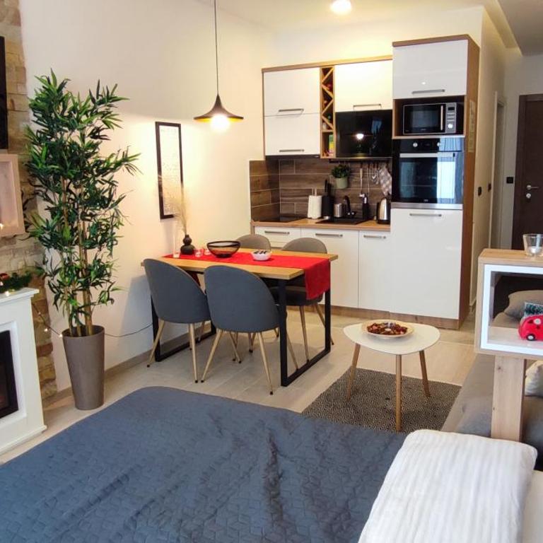 SANS Lux Apartman N42 Milmari Kopaonik - Studio Apartment - 58