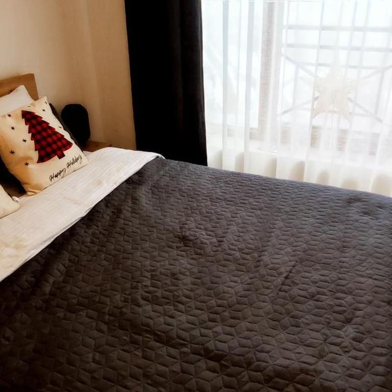 SANS Lux Apartman N42 Milmari Kopaonik - Studio Apartment - 8