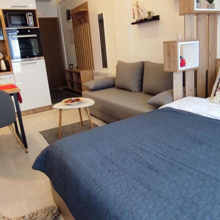 SANS Lux Apartman N42 Milmari Kopaonik - Studio Apartment - 59