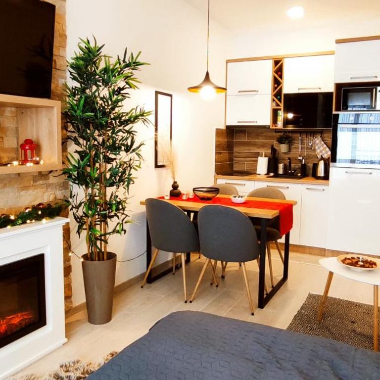 SANS Lux Apartman N42 Milmari Kopaonik - Studio Apartment - 10