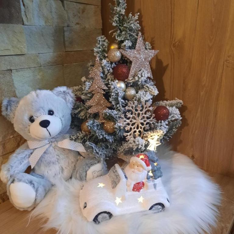 Apartman Enjoy N82 Milmari&spa - Studio Apartman - 37