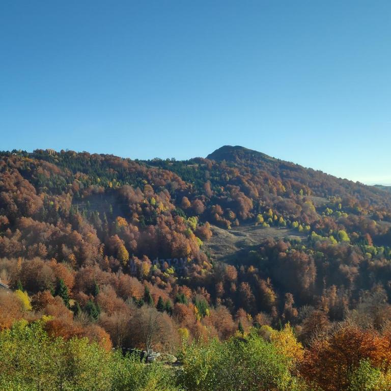Mountain View 19 Zoned II Kopaonik - Superior Apartment - 93