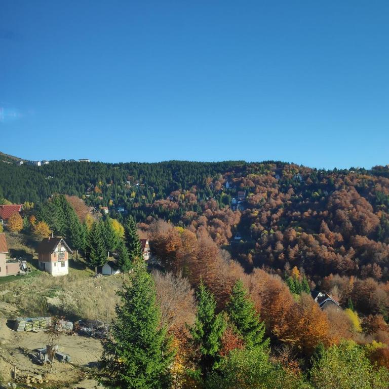 Mountain View 19 Zoned II Kopaonik - Superior Apartman - 92