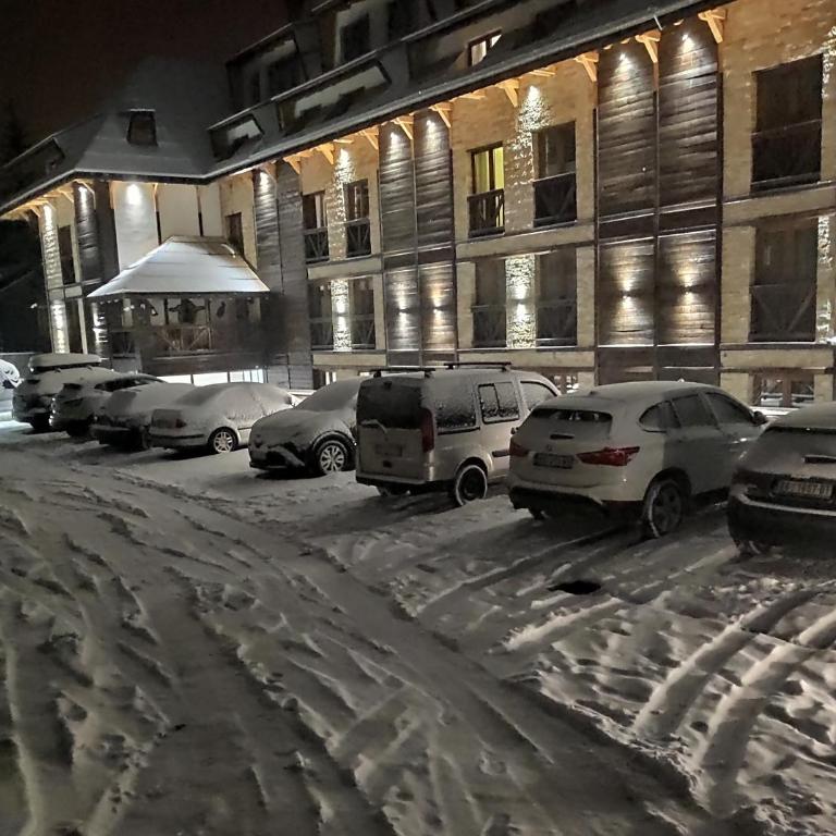 Mountain View 19 Zoned II Kopaonik - Superior Apartment - 32