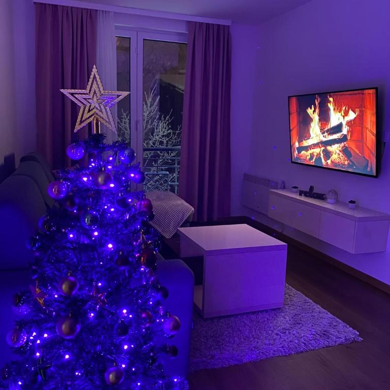 Apartman Pilatus - Jahorinska Vila - One-Bedroom Apartment - 6