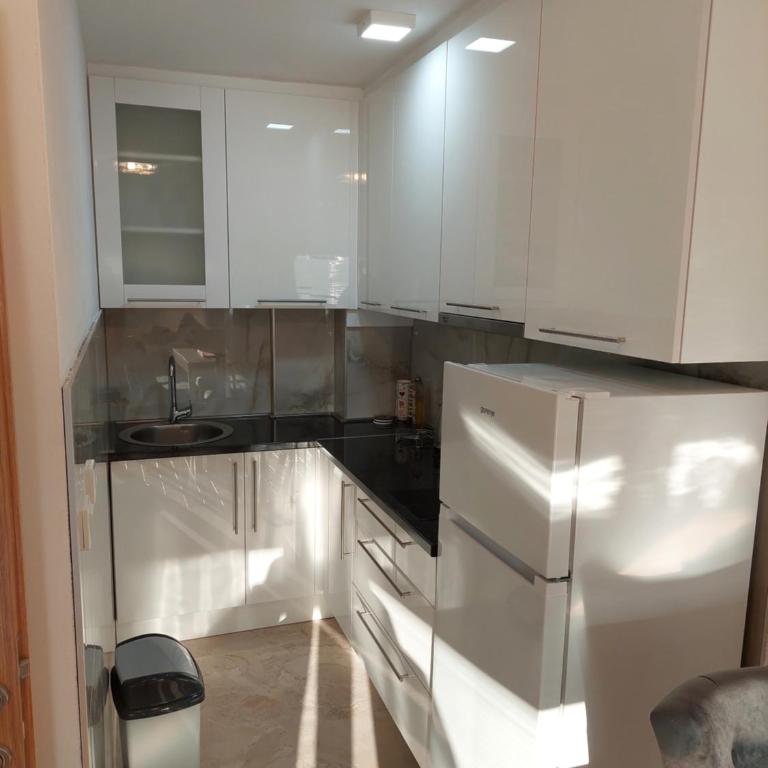 Vila Gajović - One-Bedroom Apartment - 5
