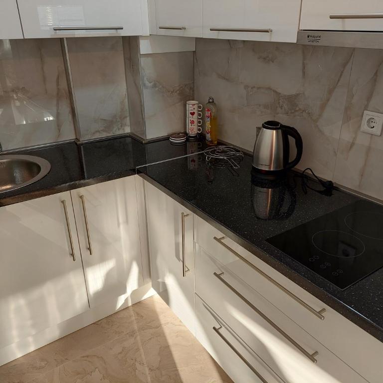 Vila Gajović - One-Bedroom Apartment - 6