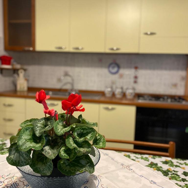 Trilocale Piazza Italia Orosei - IUN Q5292 - Appartamento con 2 Camere da Letto - 10
