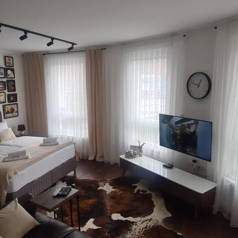 Tuzla Trg - Tuzla Square - Apartman sa 1 Spavaćom Sobom - 6