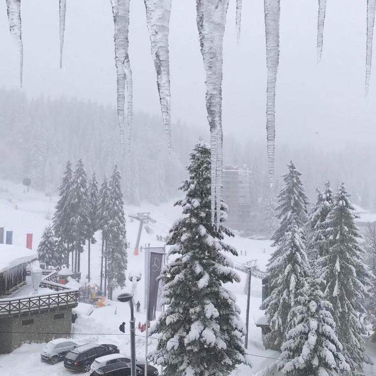 Lara apartman U248, Privatni apartman u sklopu hotela Vučko - Studio Apartment - 6